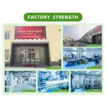 Transdermal Nutrition Patch