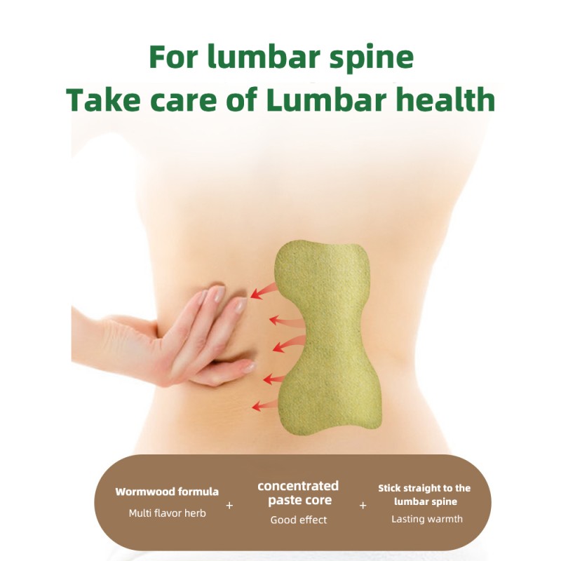 Moxibustion Plaster Supplier - ISO Certified Wormwood Lumbar Spine