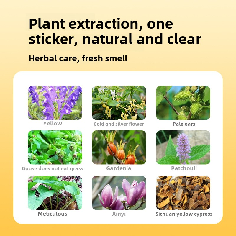 Anti-Snoring Strips Factory - Effective Snoring Reduction