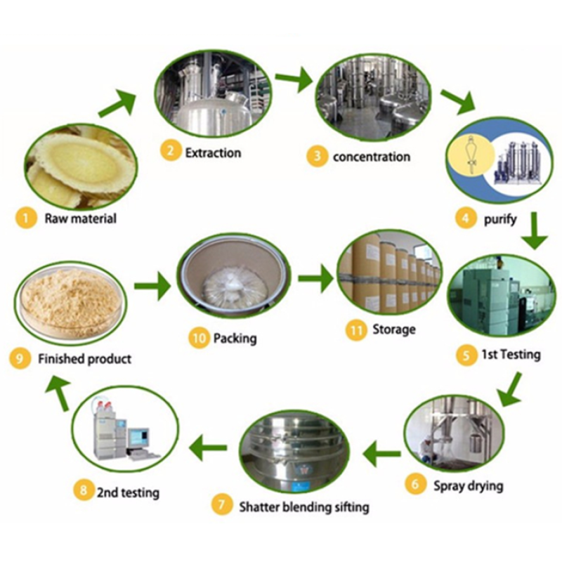 Kojic Acid Powder Manufacturer - 99% Cosmetic Grade