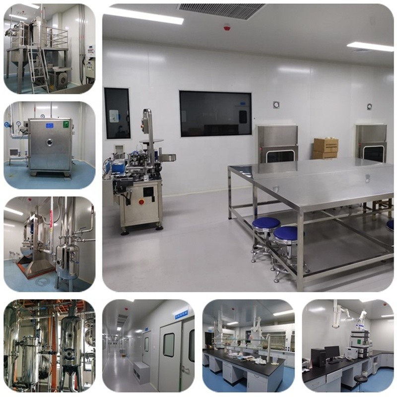 Magnesium Capsules Factory - L-threonate 500mg OEM