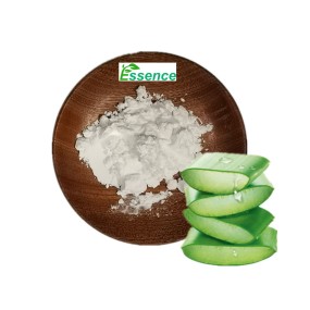 Aloe Vera Powder Manufacturer - Cosmetic Grade 200x Gel