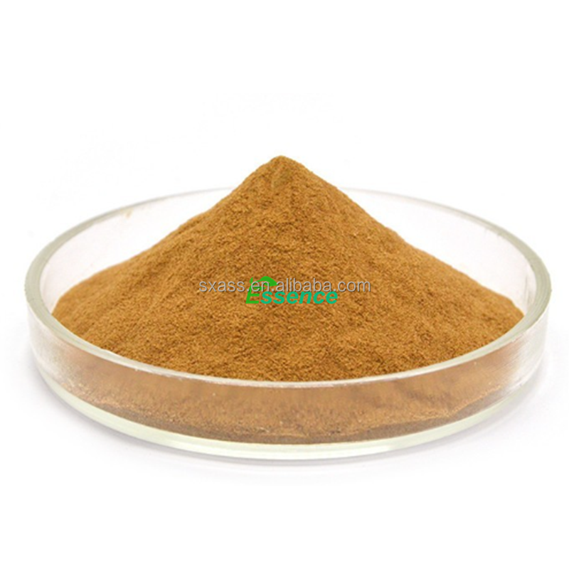 Agaricus Powder Manufacturer - Bisporus 10-50% Polysaccharide
