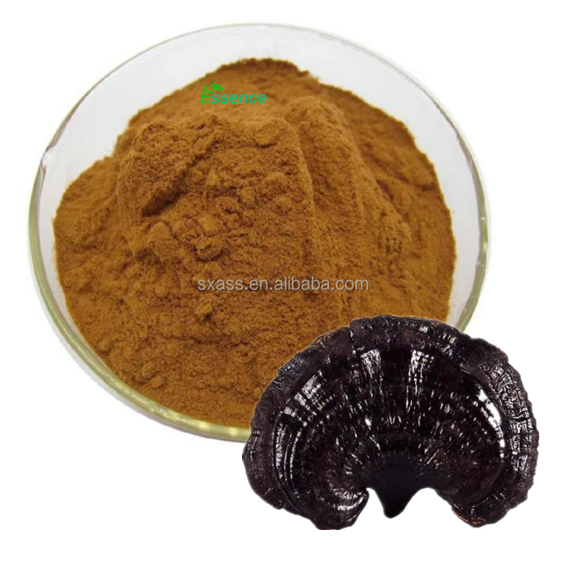 Black Reishi Powder Factory - Ganoderma 20-40% Extract
