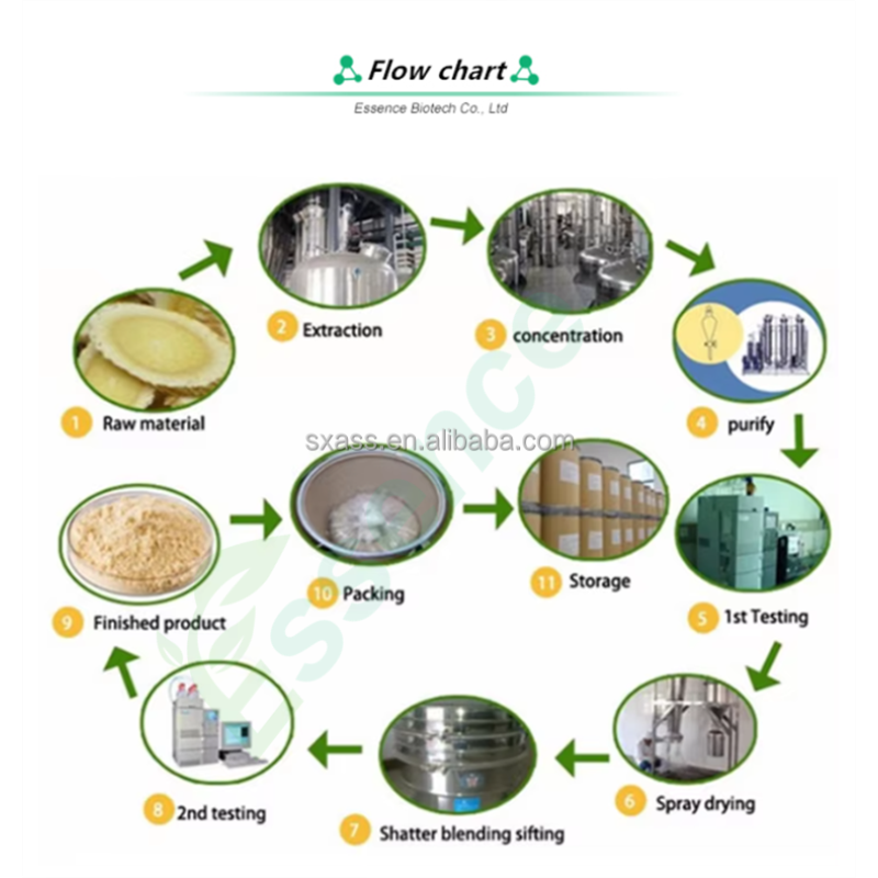 Cumin Powder Manufacturer - Jeera Seed 80 Mesh