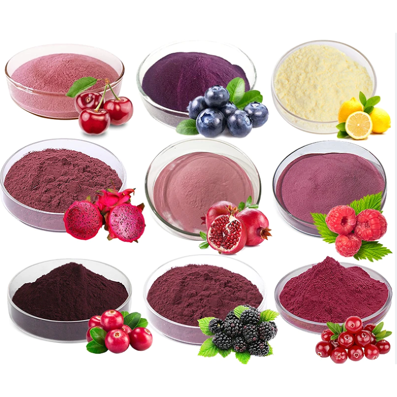 Dragon Fruit Powder Supplier - Freeze Dried Red Pitaya