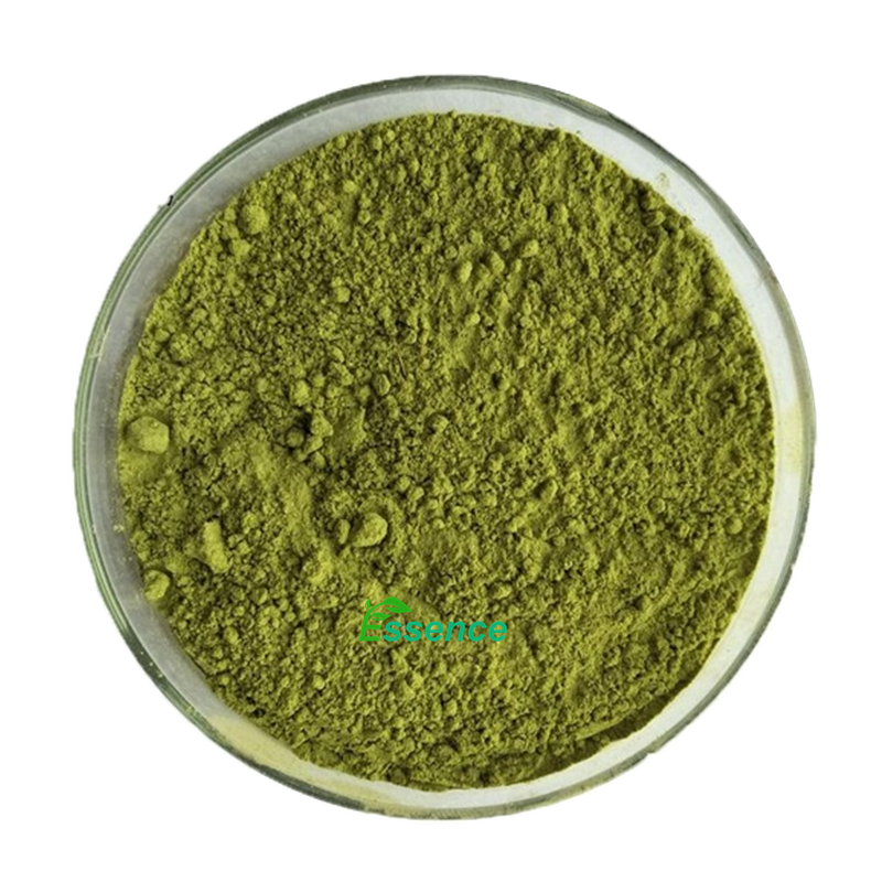 Usma Grass Powder Manufacturer - Hair Growth Enhancer Raw