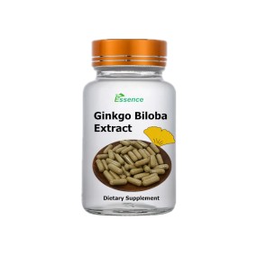 Ginkgo Biloba Powder Manufacturer - Extract Powder Capsules