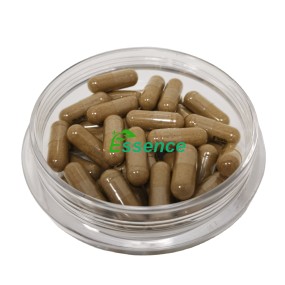 Artemisia Capsules Supplier - Natural Capillary Herbal