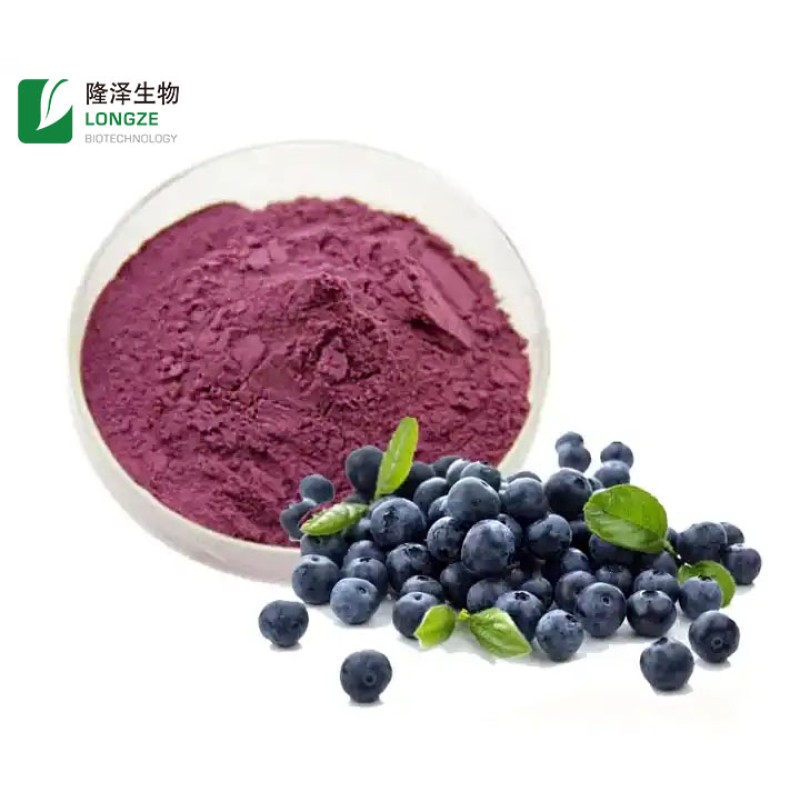 Fruit Extract Powder Supplier - CGMP Standard Bulk Instant Juice