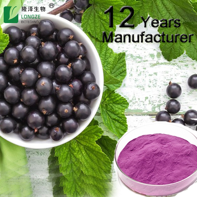 Black Currant Powder Factory - Organic Solvent Extracted Halal