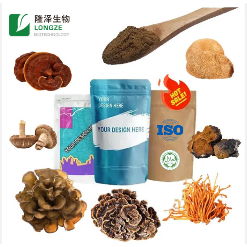 Lions Mane Extract Supplier - Dried Mushroom Capsules Functional