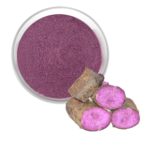 Purple Yam Powder Supplier - Ube Powder Freeze Dried