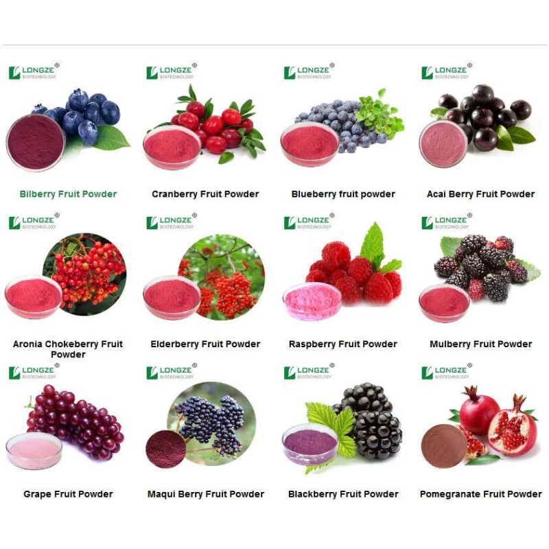 Actinidia Extract Supplier - Chinensis Fruit Powder Health