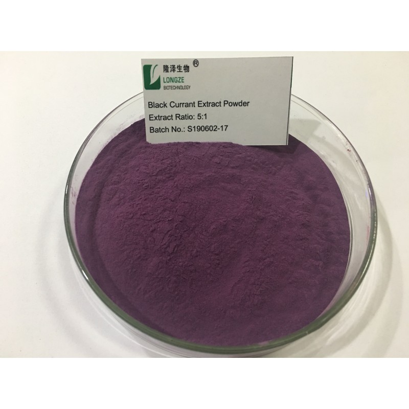 Black Currant Powder Factory - Organic Solvent Extracted Halal