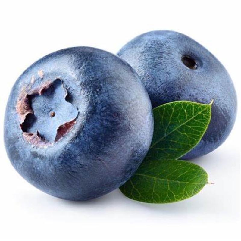 Bilberry Extract Factory - 1%-36% Anthocyanin European