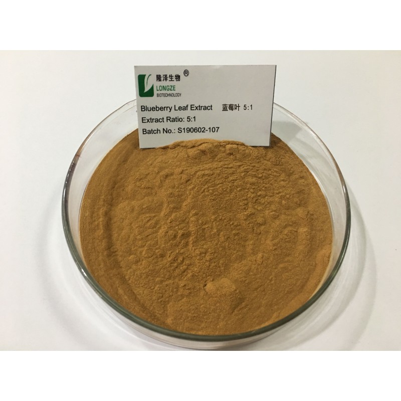 Blueberry Powder Manufacturer - Food Grade Extract Powder Bulk