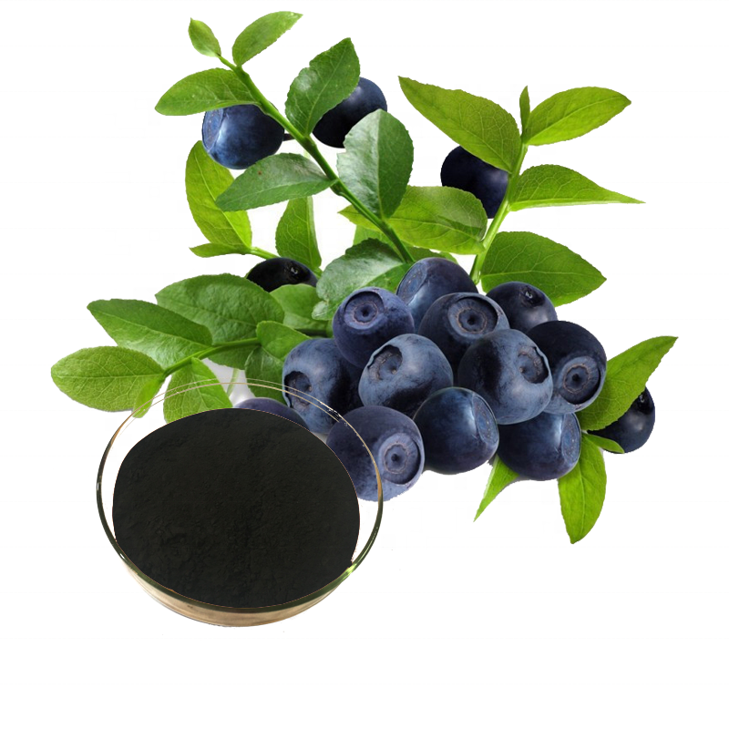 Blueberry Extract Supplier - 25% Anthocyanins Natural Powder