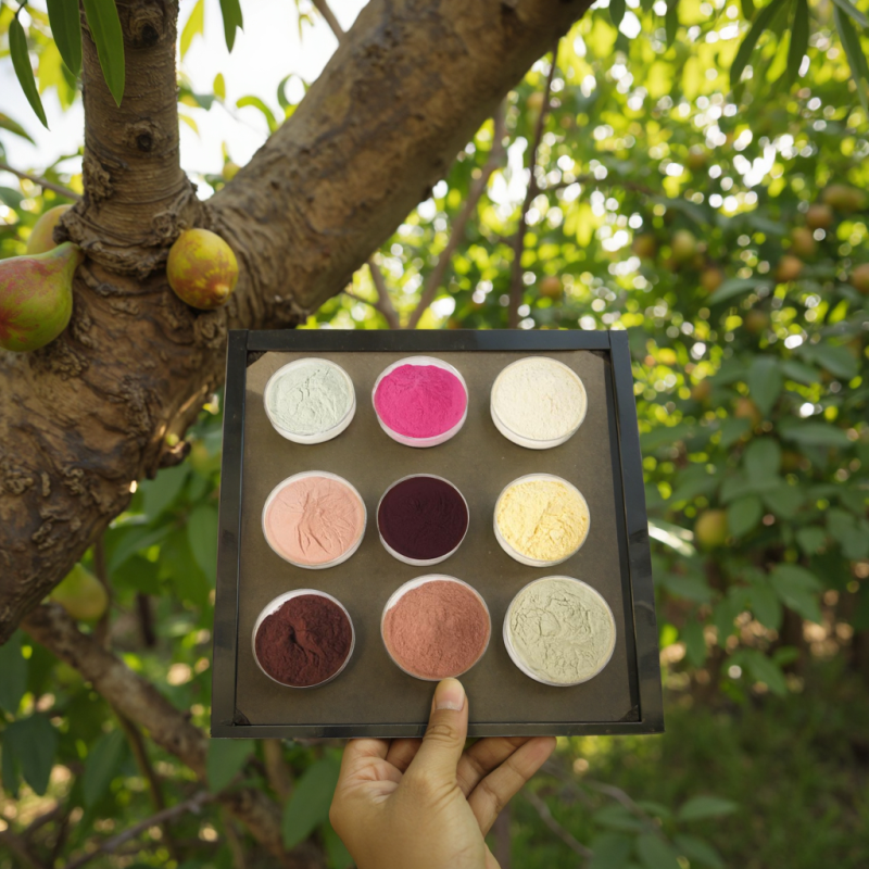 Fruit Juice Powder Manufacturer - Freeze Drying Bottle Drum Container