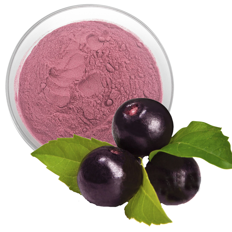Acai Powder Supplier - NOP EU Organic Berry Powder