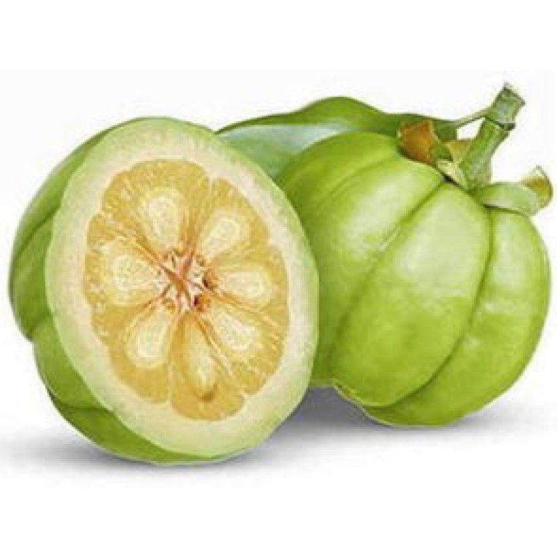 Garcinia Cambogia Extract Supplier - HCA Weight Loss Plant