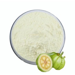 Garcinia Cambogia Extract Supplier - HCA Weight Loss Plant