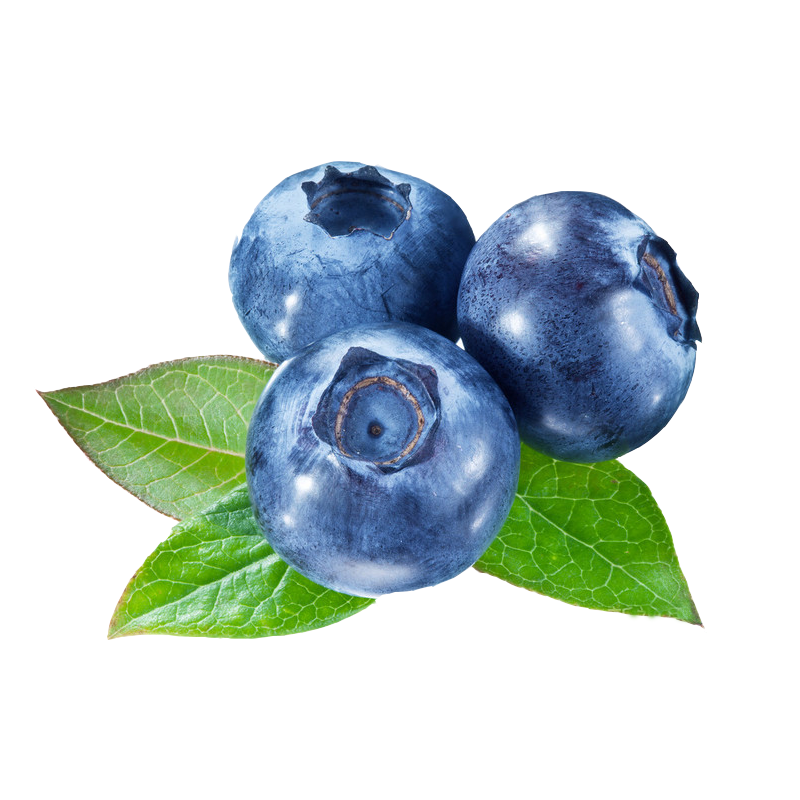 Blueberry Extract Supplier - 5%-40% Anthocyanin Supplement