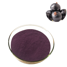 Black Currant Powder Factory - Organic Solvent Extracted Halal