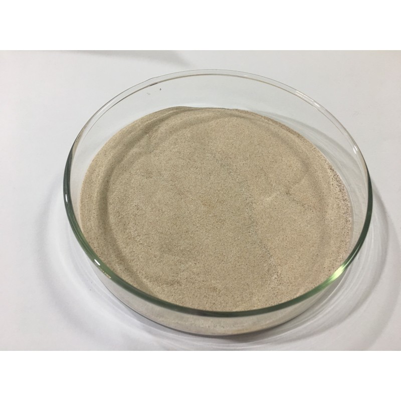 Soursop Powder Manufacturer - Spray Dried Fruit Powder