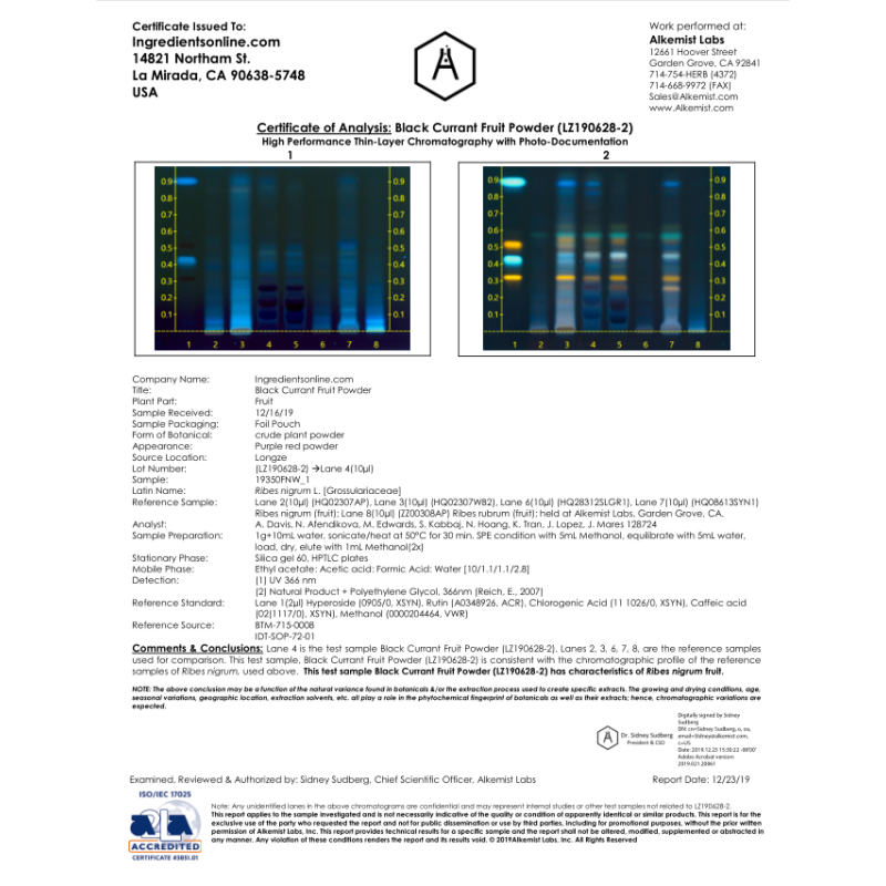 Black Currant Powder Factory - Organic Solvent Extracted Halal