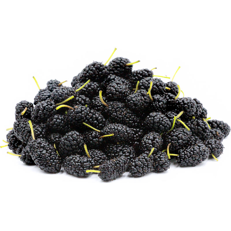 Mulberry Extract Supplier - 5%-25% Anthocyanidin Powder