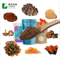 Mushroom Powder Manufacturer - Customized Agaricus Chaga Blend
