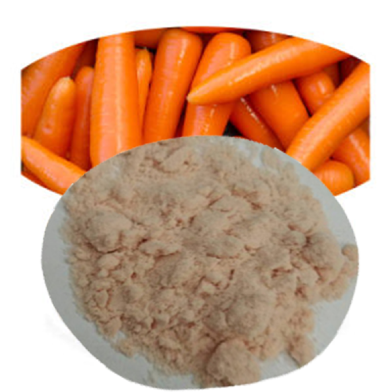 Carrot Powder Manufacturer - Organic Pure Natural Juice Powder