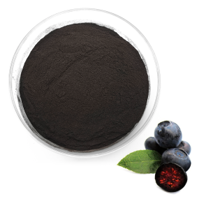 Bilberry Extract Factory - 1%-36% Anthocyanin European