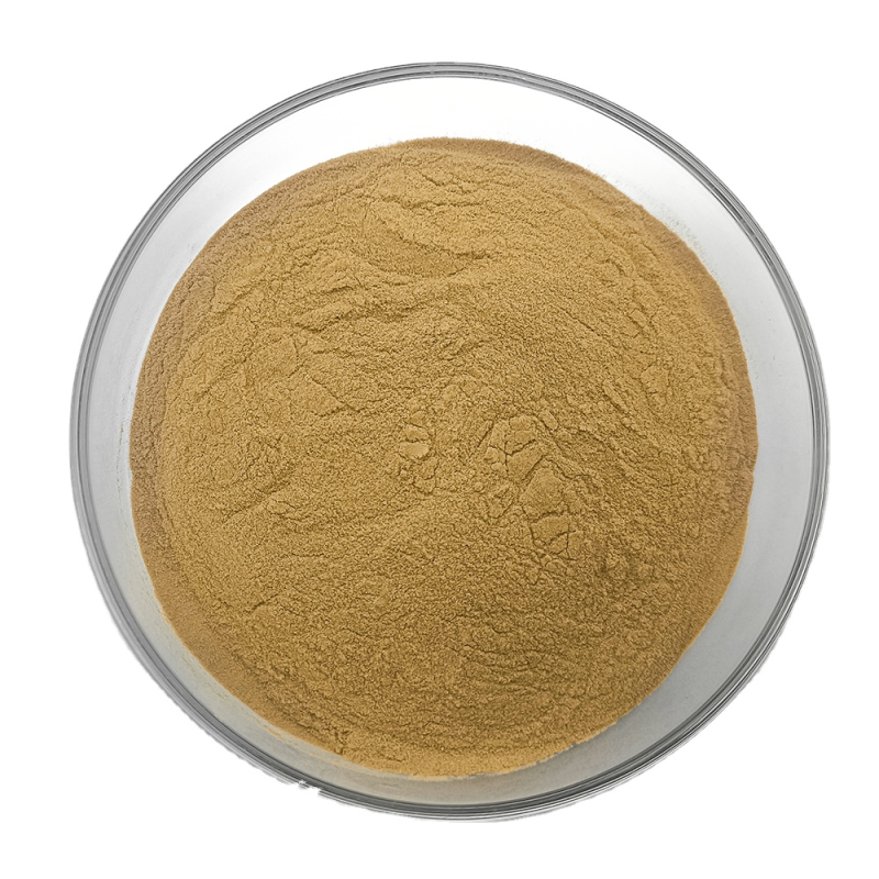 Oyster Mushroom Extract Supplier - Organic Pleurotus Ostreatus Powder