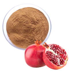 Pomegranate Extract Supplier - 20% 40% 50% Polyphenols