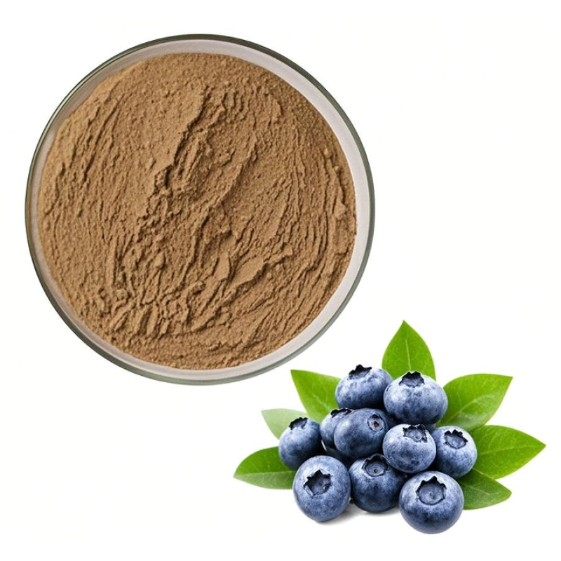 Blueberry Powder Manufacturer - Food Grade Extract Powder Bulk