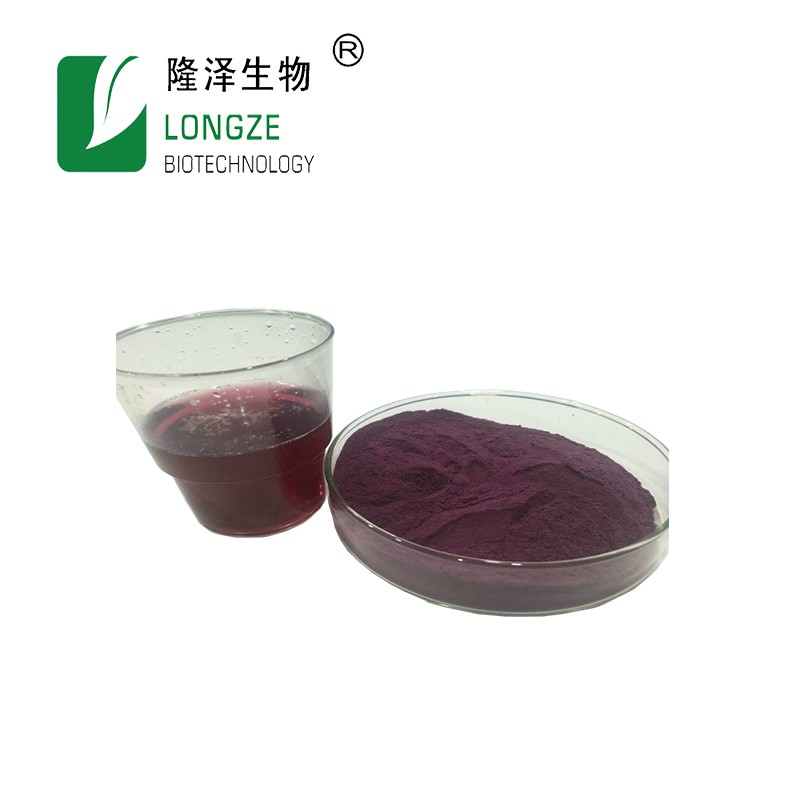 Blueberry Extract Supplier - 25% Anthocyanins Natural Powder
