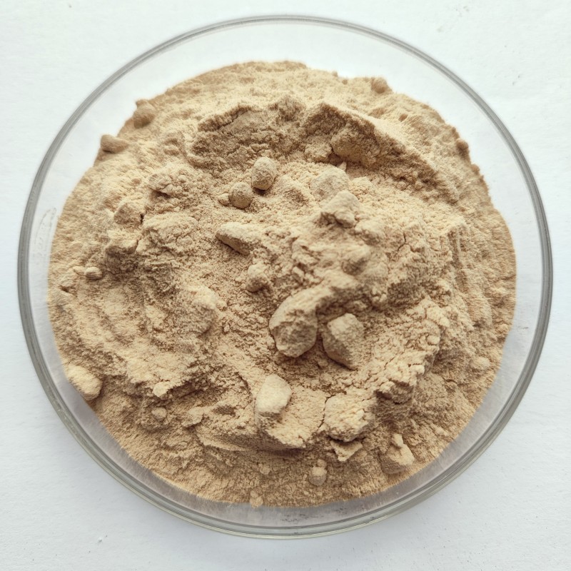 Soursop Powder Manufacturer - Spray Dried Fruit Powder