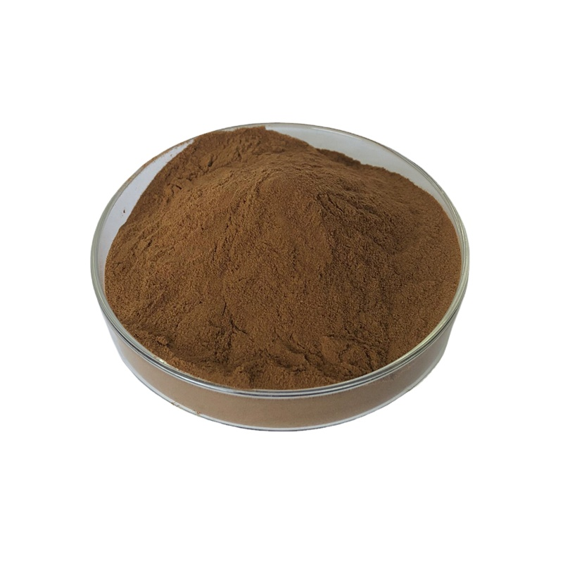Chaga Mushroom Extract Factory - Fruiting Body Bulk Supply