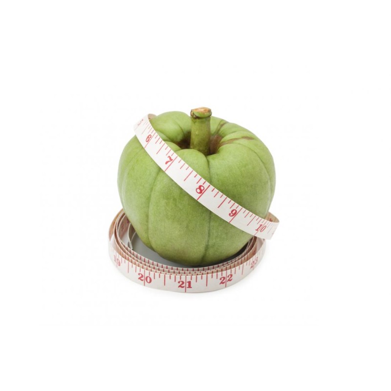 Garcinia Cambogia Extract Supplier - 50% HCA Wild Halal