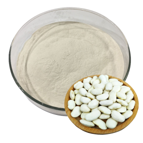 White Kidney Bean Extract Supplier - Amylase Inhibitor Weight Loss