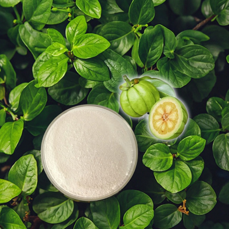 Garcinia Cambogia Extract Supplier - 50% HCA Wild Halal