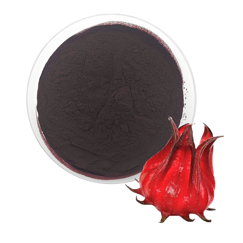 Hibiscus Extract Factory - Anthocyanidins Roselle Powder
