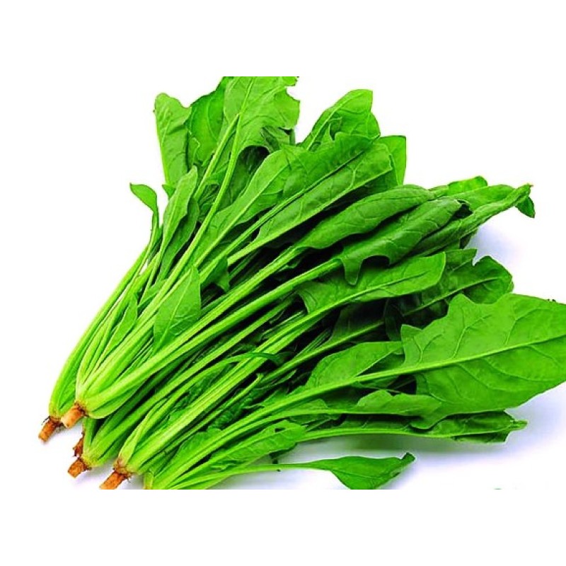Spinach Powder Supplier - Organic Green Vegetable Extract