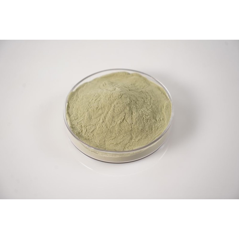 Spinach Powder Supplier - Organic Green Vegetable Extract