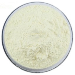 Garcinia Cambogia Powder Factory - Extract Capsule HCA