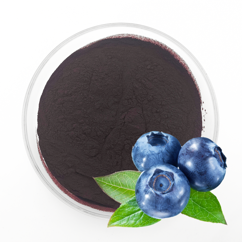 Blueberry Extract Supplier - 25% Anthocyanins Natural Powder