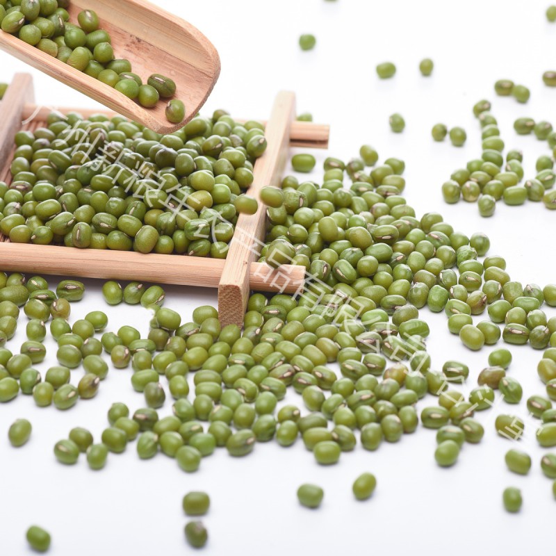 Mung Beans Supplier - High Quality Affordable Plump