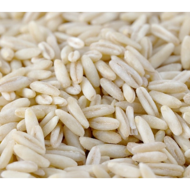 Oat Rice Factory - Premium Quality Oats Germ Rice